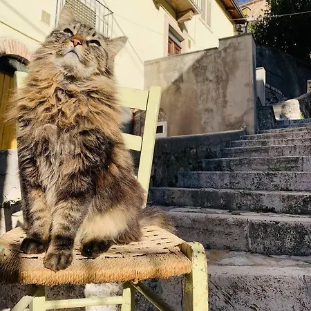 Casa vacanze Casa Di Carolina Italian Pacentro