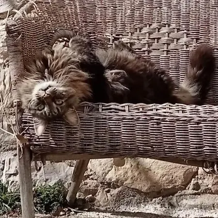 Casa Di Carolina Italian * Pacentro